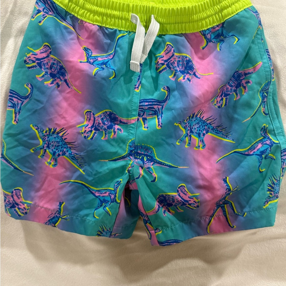Chubbies Kids Swim Trunks - Green and Pink Dinosaur Print